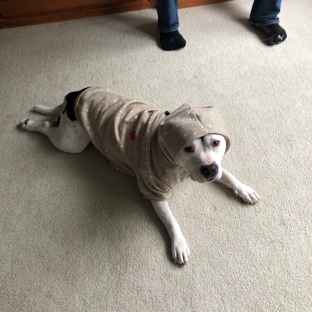 Meet your Posher, Taylor